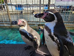 伊豆・三津シーパラダイスに投稿された画像(2025/12/10)