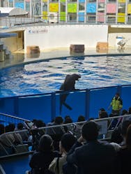 伊豆・三津シーパラダイスに投稿された画像(2025/12/10)