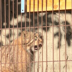 名古屋市東山動植物園に投稿された画像(2025/12/10)