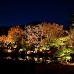 名古屋市東山動植物園に投稿された画像(2025/12/10)