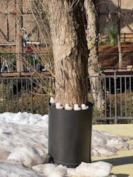 ムーミンバレーパークに投稿された画像(2025/12/10)