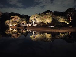 六義園に投稿された画像(2025/12/10)