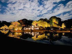 六義園に投稿された画像(2025/12/10)