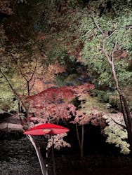 六義園に投稿された画像(2025/12/10)