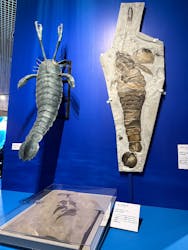 特別展「大絶滅展―生命史のビッグファイブ」に投稿された画像(2025/12/10)