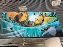 特別展「大絶滅展―生命史のビッグファイブ」に投稿された画像(2025/12/10)