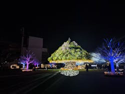 東京メガイルミに投稿された画像(2025/12/10)