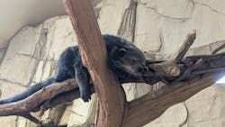 那須どうぶつ王国に投稿された画像(2025/12/11)