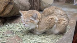 那須どうぶつ王国に投稿された画像(2025/12/11)