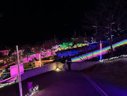 さがみ湖MORI MORIに投稿された画像(2025/12/11)