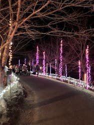 さがみ湖MORI MORIに投稿された画像(2025/12/11)