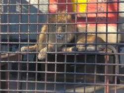 宇都宮動物園に投稿された画像(2025/12/11)