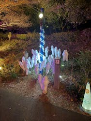 ムーミンバレーパークに投稿された画像(2025/12/11)