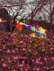 さがみ湖MORI MORIに投稿された画像(2025/12/11)