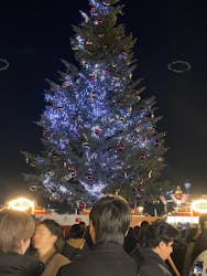 Christmas Market in 横浜赤レンガ倉庫 2025に投稿された画像(2025/12/11)