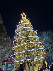 Christmas Market in 横浜赤レンガ倉庫 2025に投稿された画像(2025/12/11)