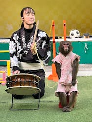 おさるランド&アニタウン 日光さる軍団劇場に投稿された画像(2025/12/11)