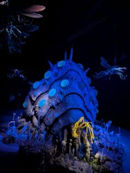 金曜ロードショーとジブリ展(静岡展)に投稿された画像(2025/12/11)