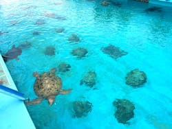 ジャンボツアーズに投稿された画像(2025/12/11)