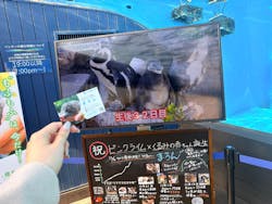 サンシャイン水族館に投稿された画像(2025/12/11)