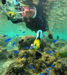 武藤潜水に投稿された画像(2025/12/12)