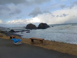 越前松島水族館に投稿された画像(2025/12/12)