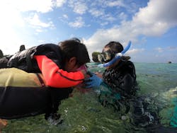 武藤潜水に投稿された画像(2025/12/12)