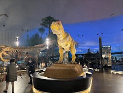 福井県立恐竜博物館に投稿された画像(2025/12/12)