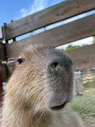 ネオパークオキナワに投稿された画像(2025/12/12)