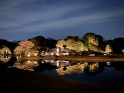 六義園に投稿された画像(2025/12/12)