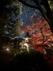 六義園に投稿された画像(2025/12/12)