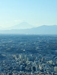 横浜ランドマークタワー 69階展望フロア スカイガーデンに投稿された画像(2025/12/12)