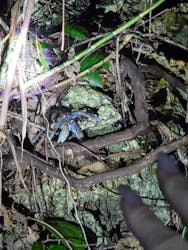 スターライフ石垣島に投稿された画像(2025/12/12)