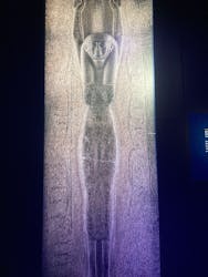 ACN ラムセス大王展 ファラオたちの黄金に投稿された画像(2025/12/12)