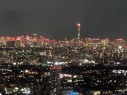 横浜ランドマークタワー 69階展望フロア スカイガーデンに投稿された画像(2025/12/12)