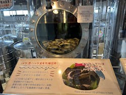 おきなわワールドに投稿された画像(2025/12/12)