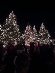 Christmas Market in 横浜赤レンガ倉庫 2025に投稿された画像(2025/12/13)