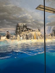 名古屋港水族館に投稿された画像(2025/12/13)