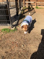 わんダフルネイチャーヴィレッジに投稿された画像(2025/12/13)