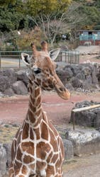 伊豆アニマルキングダムに投稿された画像(2025/12/13)