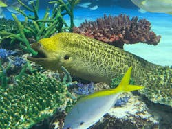 サンシャイン水族館に投稿された画像(2025/12/13)