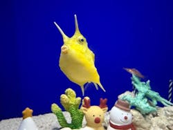 サンシャイン水族館に投稿された画像(2025/12/13)