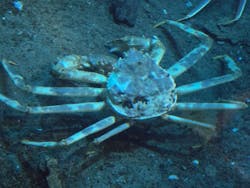 城崎マリンワールドに投稿された画像(2025/12/13)