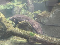 城崎マリンワールドに投稿された画像(2025/12/13)