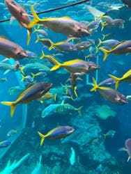 鴨川シーワールドに投稿された画像(2025/12/13)