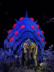 金曜ロードショーとジブリ展(静岡展)に投稿された画像(2025/12/13)