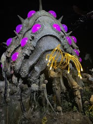 金曜ロードショーとジブリ展(静岡展)に投稿された画像(2025/12/13)