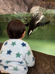 しながわ水族館に投稿された画像(2025/12/13)