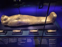 ACN ラムセス大王展 ファラオたちの黄金に投稿された画像(2025/12/13)