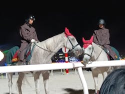 東京メガイルミに投稿された画像(2025/12/13)